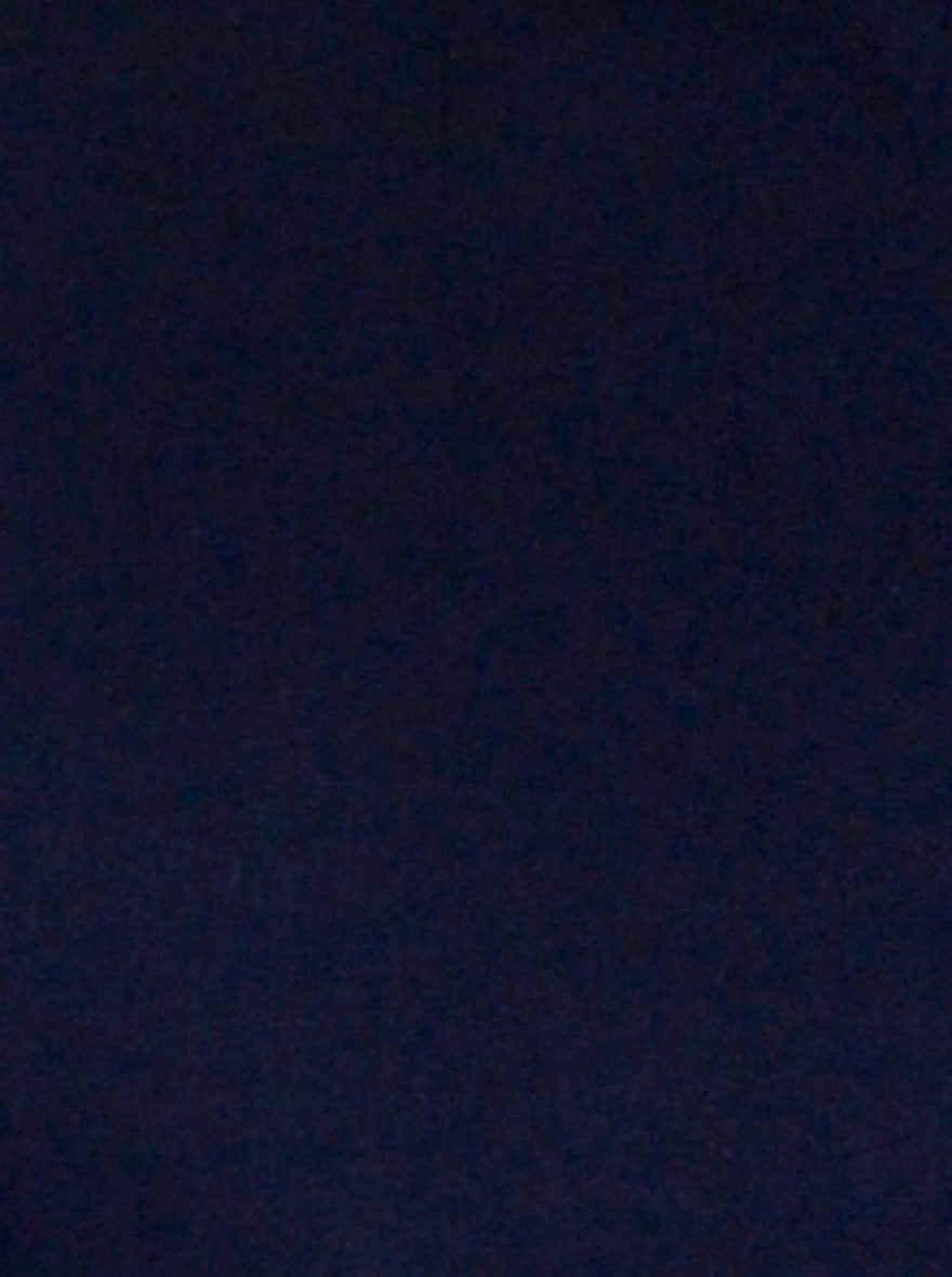 Navy Blue Solid Slim Fit Casual Shirt | Greenfibre