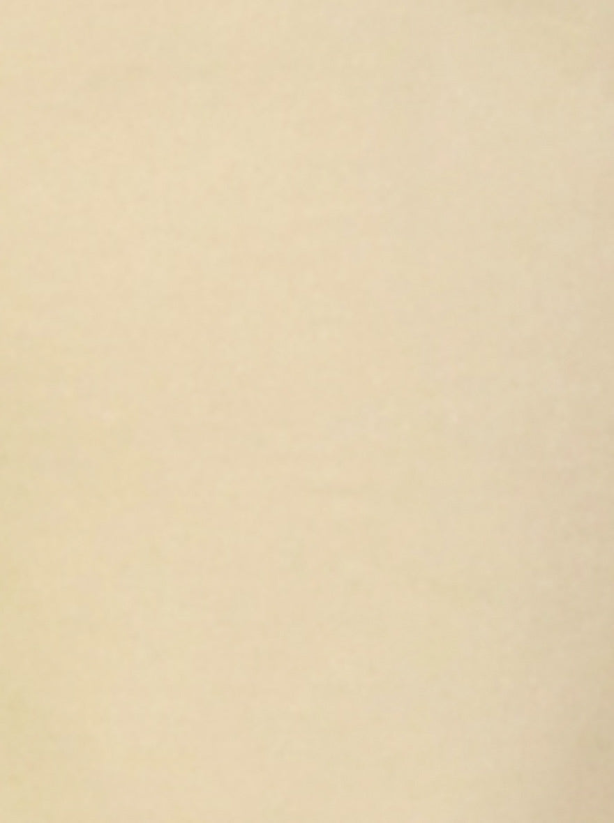 Light Beige Self Textured Slim Fit Casual Trouser | JB Sport