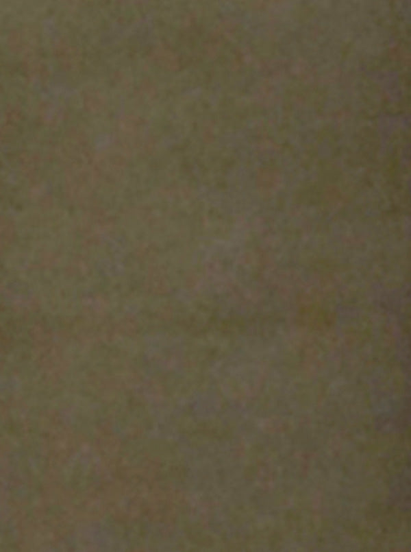 Olive Green Solid Slim Fit Casual Trouser | JB Sport