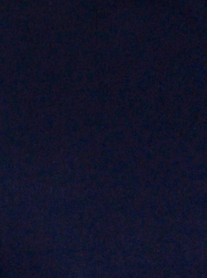 Navy Blue Solid Slim Fit Casual Shirt | Greenfibre