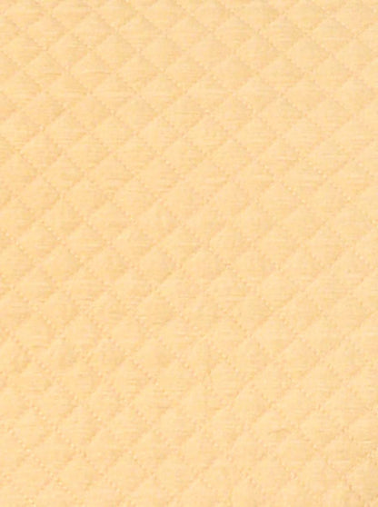 Beige Sherwani | Azania