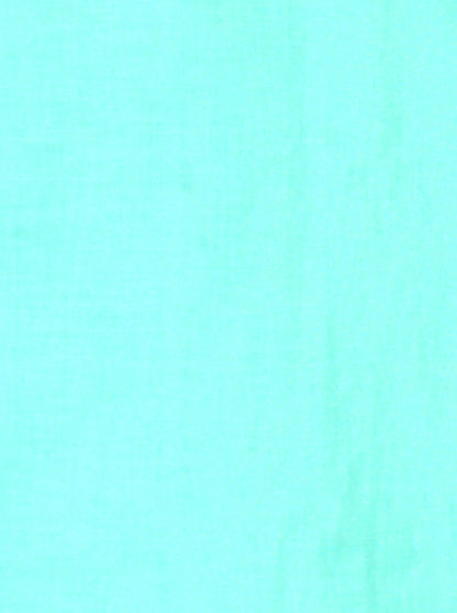 Sea Green Solid Slim Fit Casual Shirt | JB Sport