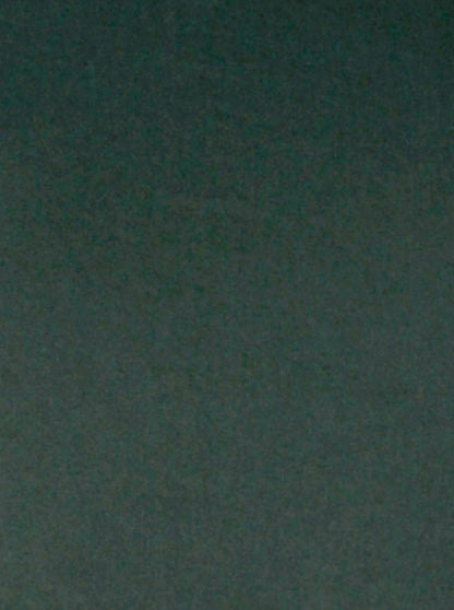 Bottle Green Solid Slim Fit Casual Shirt | JB Sport