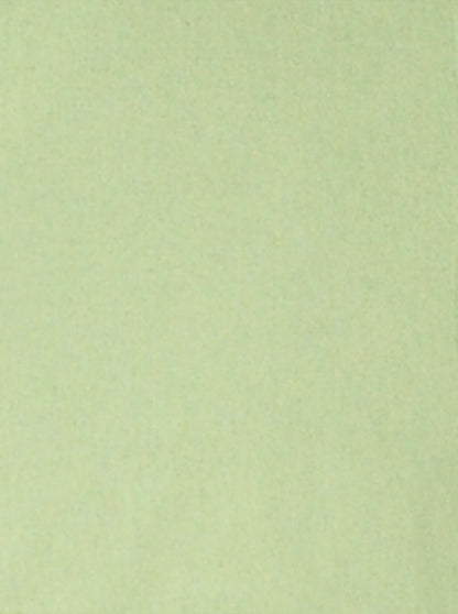 Dull Pistachio Green Solid Slim Fit Casual Shirt | Greenfibre