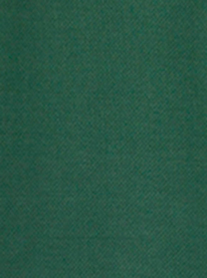 Green Solid Slim Fit Polo T-Shirt | JB Sport