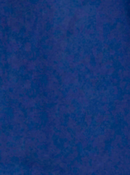 Limoges Blue Solid Slim Fit Casual Shirt | JB Sport