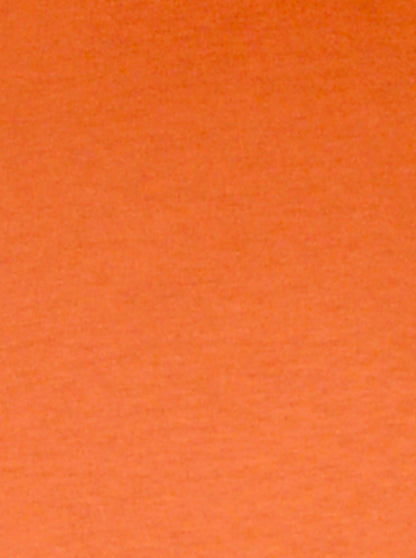 Rustic Orange Kurta | Azania