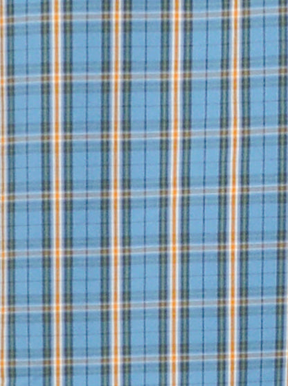 Carolina Blue Checked Regular Fit Casual Shirt | Greenfibre
