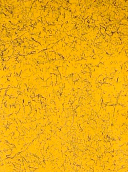 Deep Yellow Kurta Set | Azania