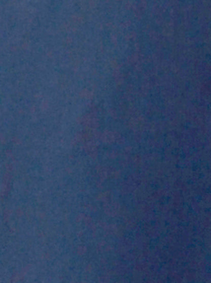 Blue Self Textured Regular Fit Formal Trouser | Greenfibre