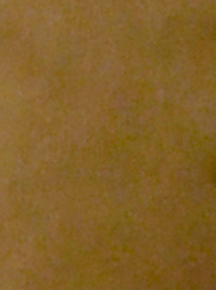 Olive Brown Self Textured Slim Fit Casual Trouser | JB Sport