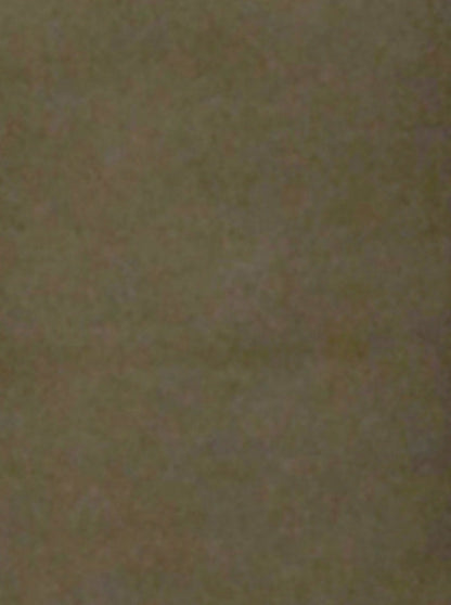 Olive Green Solid Slim Fit Casual Trouser | JB Sport