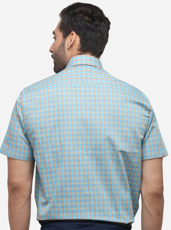 Sky Blue Checked Regular Fit Formal Shirt | JadeBlue