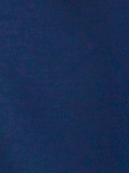 Navy Blue Solid Slim Fit Casual Trouser | JB Sport