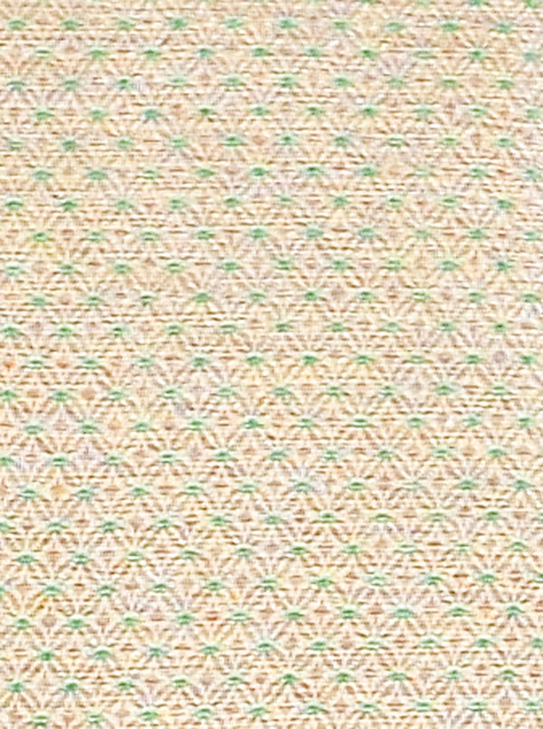 Beige & Green Jodhpuri Suit | JadeBlue