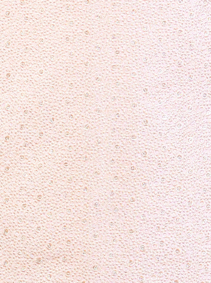 Light Peach & Golden Sherwani | Azania